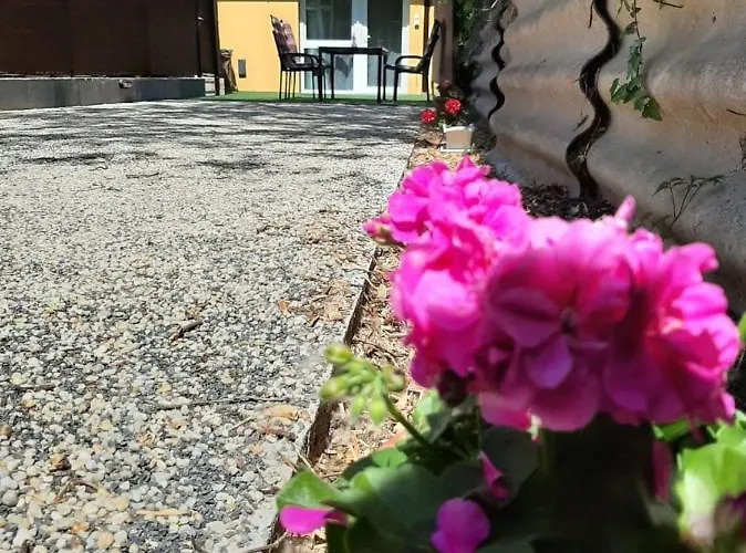 Csatang Vendeghaz Siófok